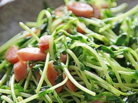 簡単レシピ『豆苗の炒め物』